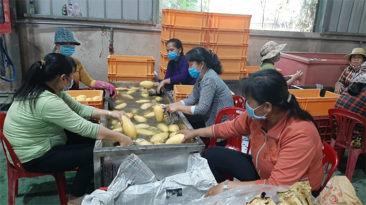 Nỗ lực thực hiện chính sách hỗ trợ của Chính phủ đối với các trường hợp khó khăn do đại dịch (9/5/2022)